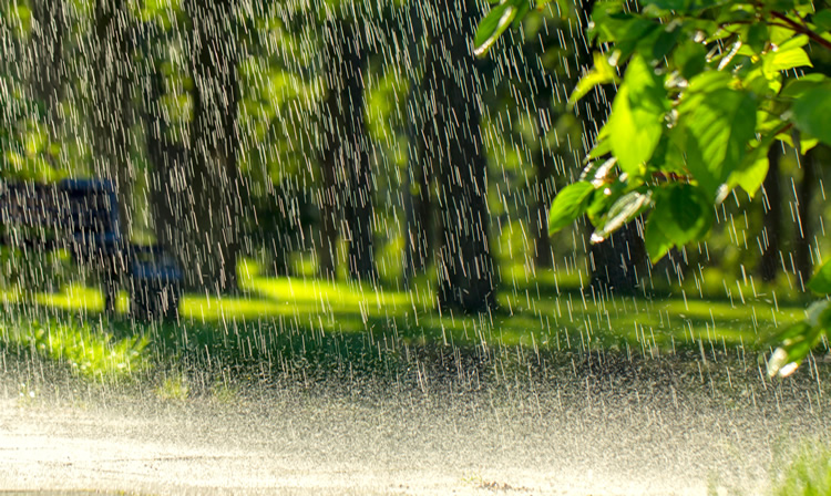 rain during the sun