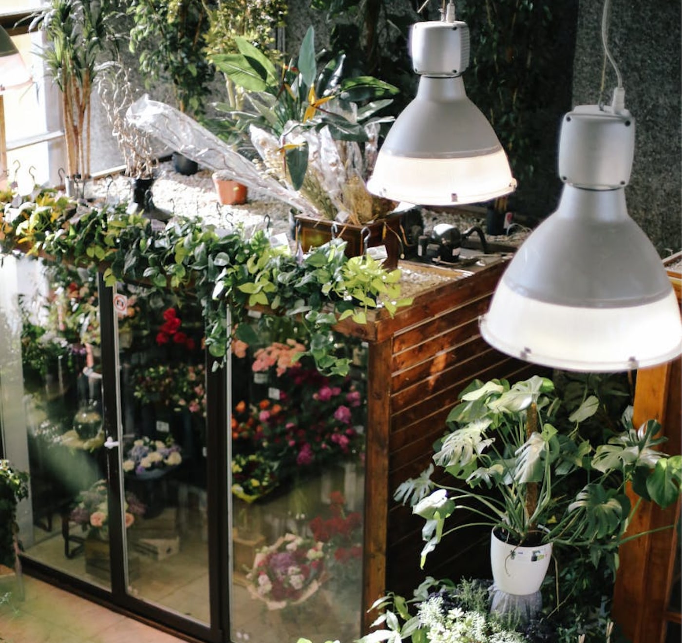 Greenhouse