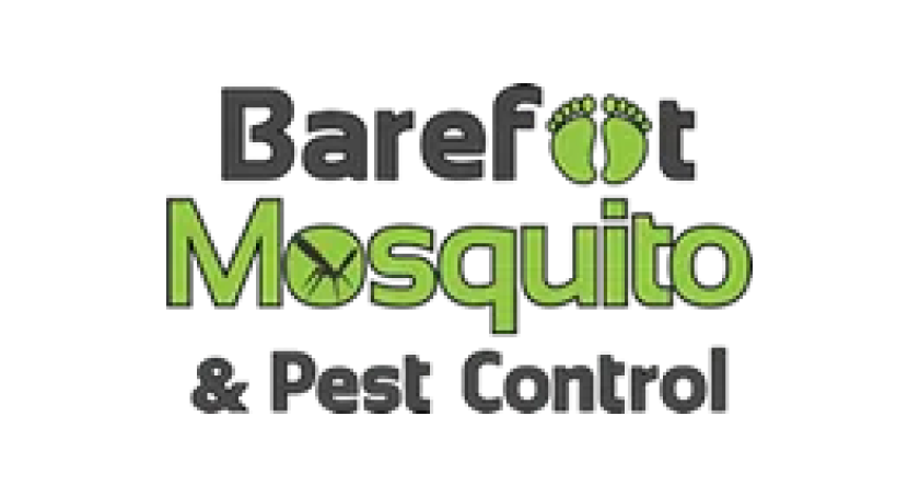 barefoot logo